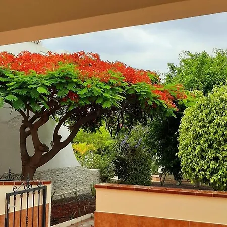 The Palms 2 Bed Duplex With Pool View 公寓
